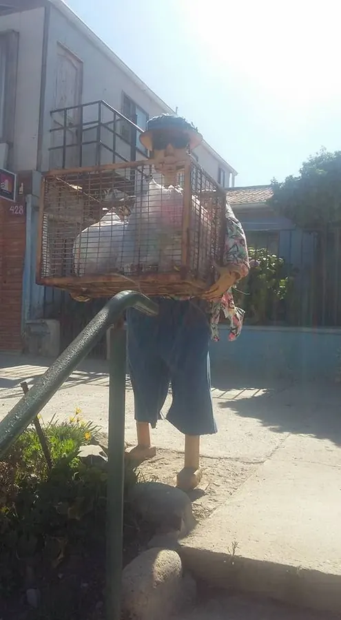 Actividad al aire libre